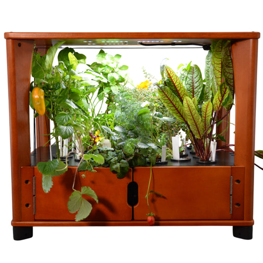 Hydroponic Home Farm